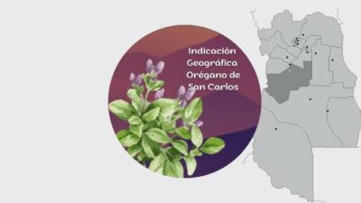 San Carlos celebra la obtención de la Indicación Geográfica para su orégano