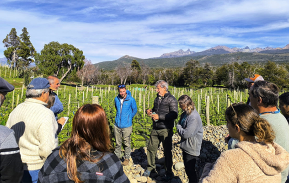 Continúan posicionando a Trevelin en la agroecología