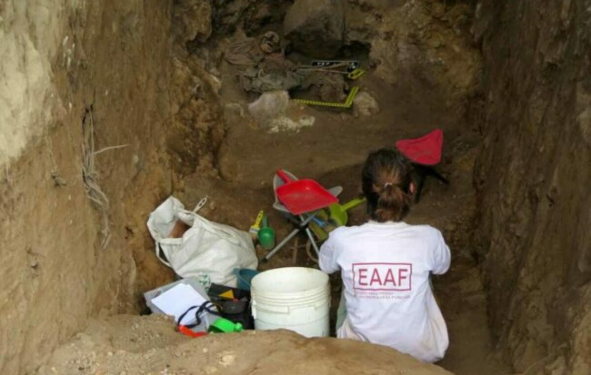 Recuperación de cuerpos y restitución de identidades: un trabajo forense fundamental en la Memoria Histórica