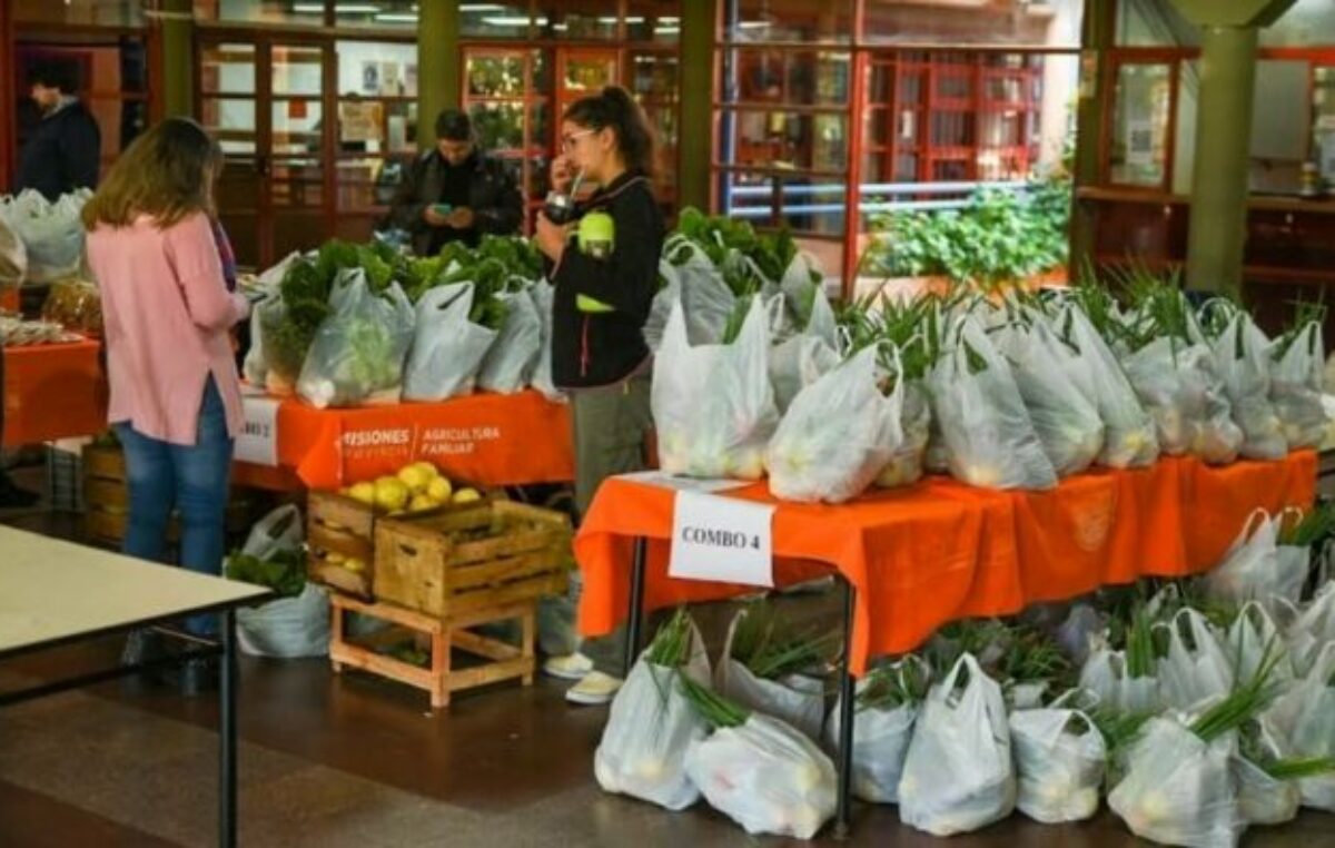 El programa de combos de alimentos para universitarios retoma actividades en cuatro municipios misioneros