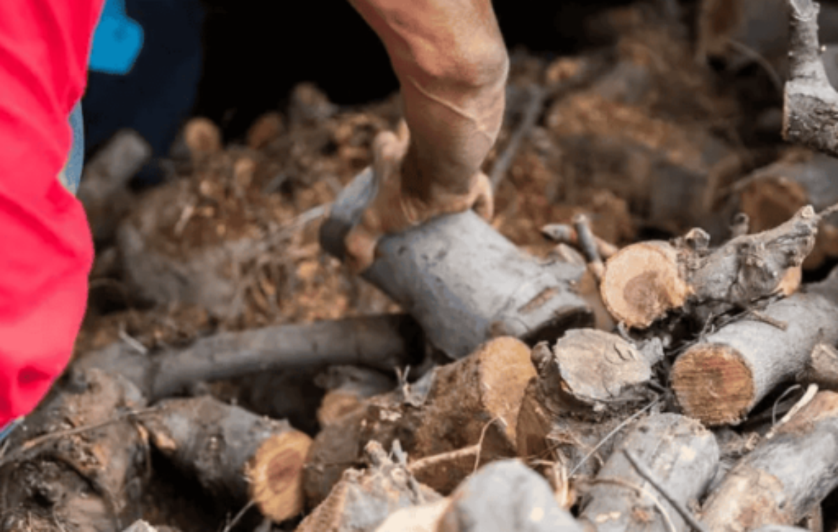 Más de 2000 familias rionegrinas recibirán más leña, estufas y carbón mineral este invierno