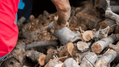 Más de 2000 familias rionegrinas recibirán más leña, estufas y carbón mineral este invierno