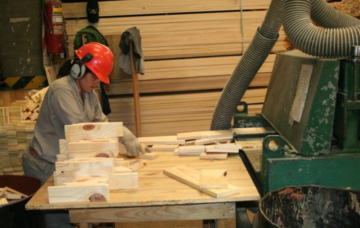 Crisis de la madera en Corrientes: Aserradero de Santo Tomé presentó un Procedimiento Preventivo de Crisis y hay 32 empleos en riesgo
