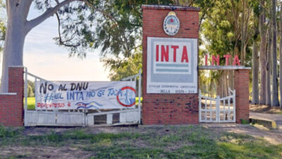INTA: el Gobierno evalúa desprenderse de más de 40.000 hectáreas