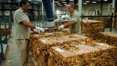 Cerró una multinacional tabacalera en Jujuy y despidió a 120 personas