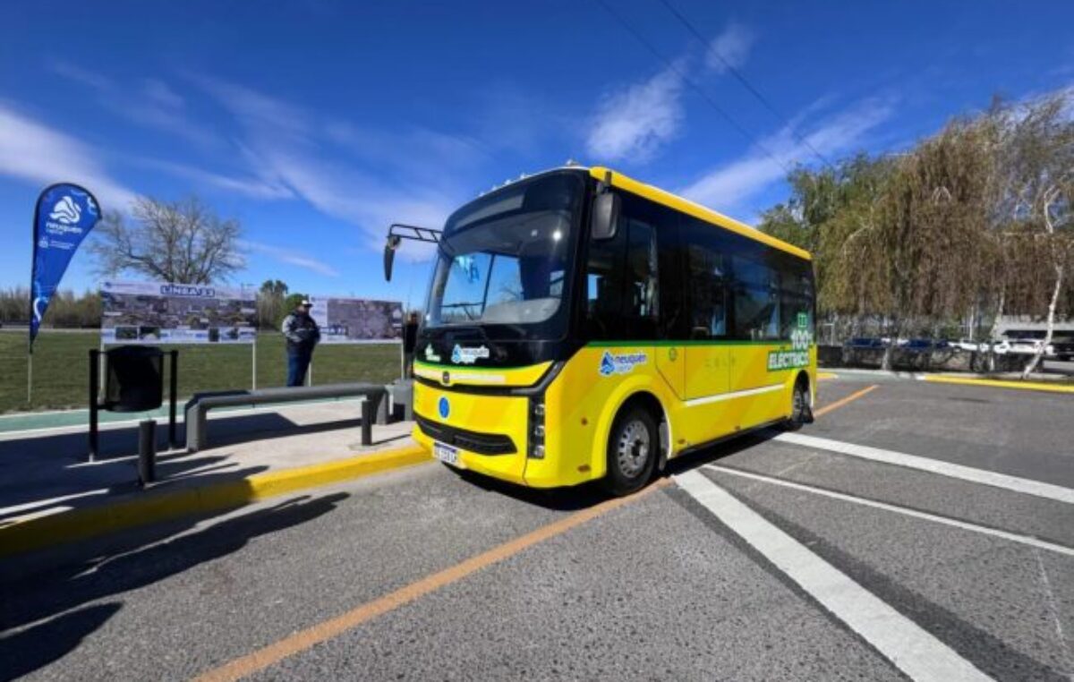 Presentaron los nuevos colectivos eléctricos de la ciudad de Neuquén