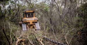 Salta: Documentan la destrucción del monte nativo con cadenas