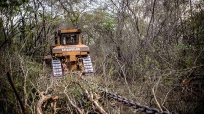Salta: Documentan la destrucción del monte nativo con cadenas