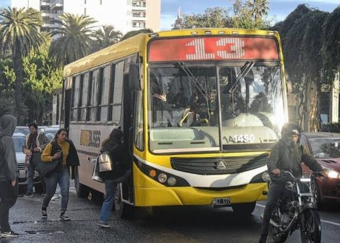 Argentina Municipal